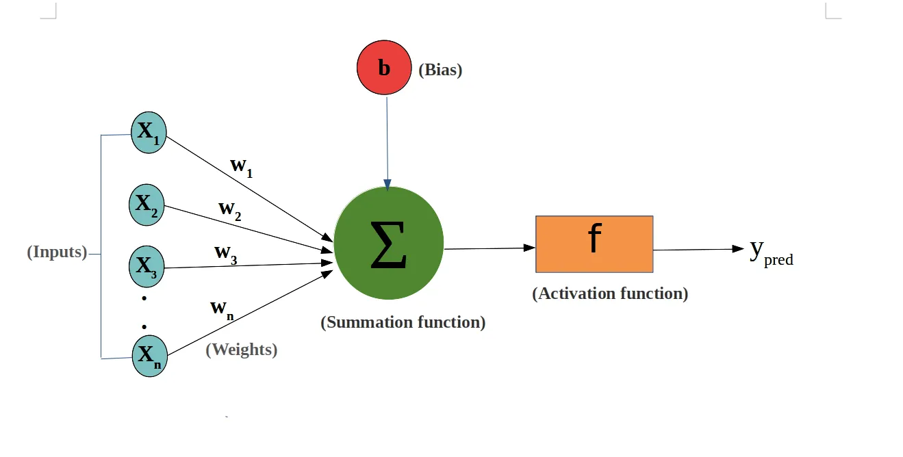 Single Neuron